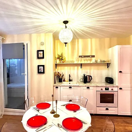 Large Magnificent Terrace شقة نيس
