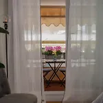 Large Magnificent Terrace 아파트