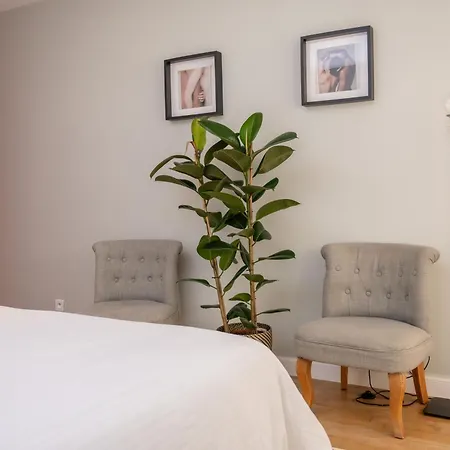 Apartamento Large Magnificent Terrace Nice